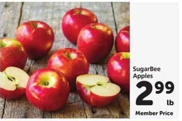SugarBee Apples