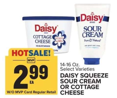 DAISY SQUEEZE SOUR CREAM OR COTTAGE CHEESE
