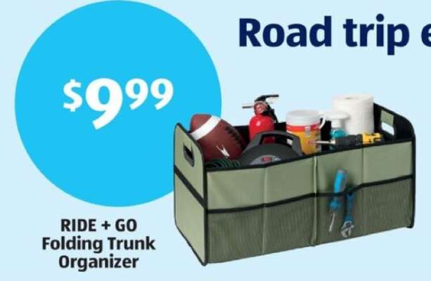 RIDE + GO Folding Trunk Organizer
