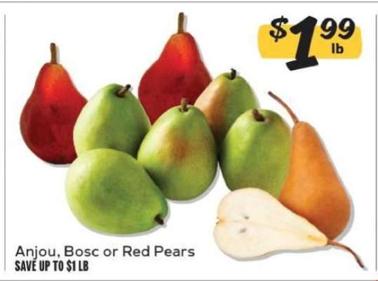 Anjou, Bosc or Red Pears