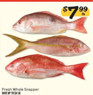 Fresh Whole Snapper