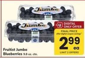 Fruitist Jumbo Blueberries