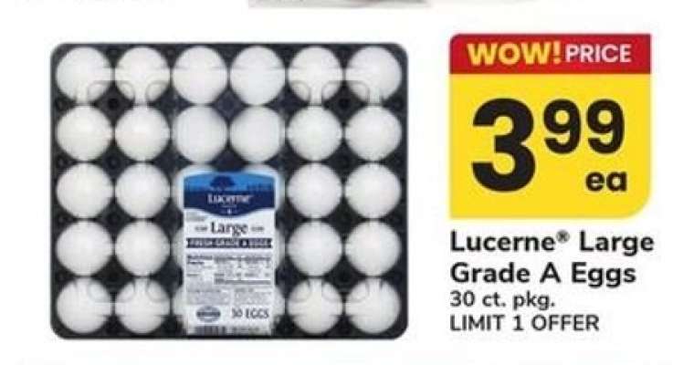 Lucerne Large Grade A Eggs