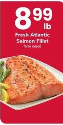 Fresh Atlantic Salmon Fillet
