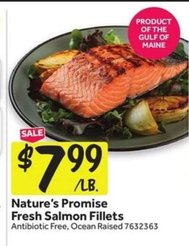 Nature's Promise Fresh Salmon Fillets