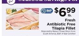 Fresh Antibiotic Free Tilapia Fillet