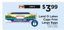 Land O Lakes Cage Free Large Eggs