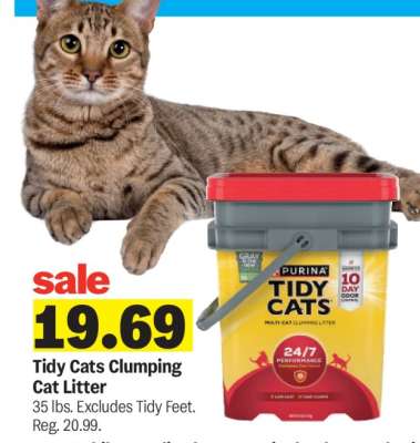 Tidy Cats Clumping Cat Litter*