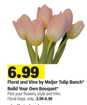 Floral and Vine by Meijer Tulip Bunch*