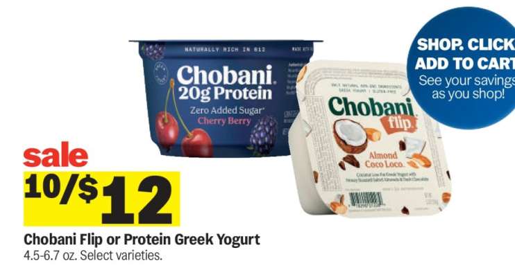 Chobani Flip or Protein Greek Yogurt