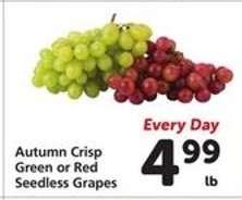 Autumn Crisp Green or Red Seedless Grapes