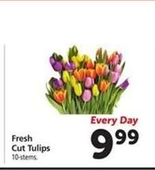 Fresh Cut Tulips