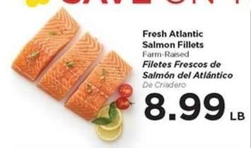 Fresh Atlantic Salmon Fillets