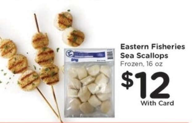Eastern Fisheries Sea Scallops