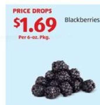 Blackberries