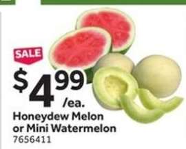 Honeydew Melon or Mini Watermelon