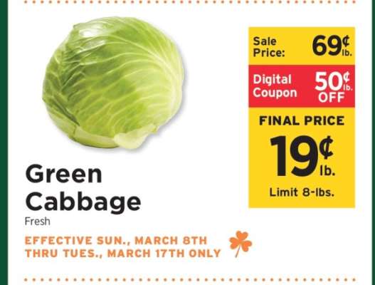 Green Cabbage