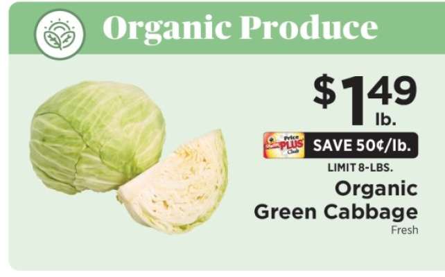 Organic Green Cabbage