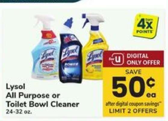 Lysol All Purpose or Toilet Bowl Cleaner