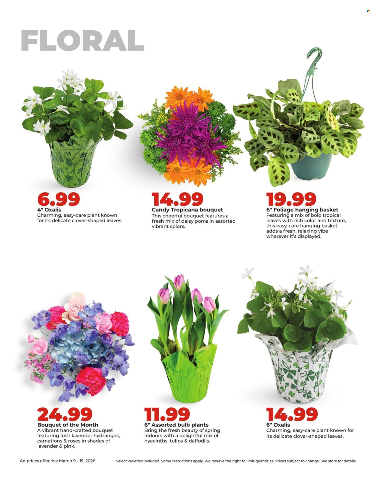 Hy-Vee ad - 03/09/2026 - 03/15/2026. Page 36