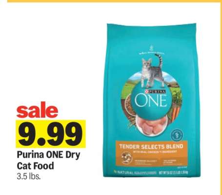 Purina One Dry Cat Food