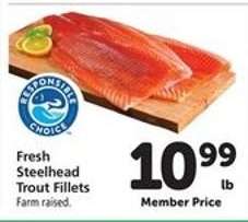 Fresh Steelhead Trout Fillets