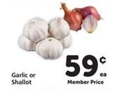 Garlic or Shallot