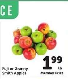 Fuji or Granny Smith Apples