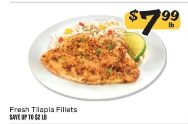Fresh Tilapia Fillets