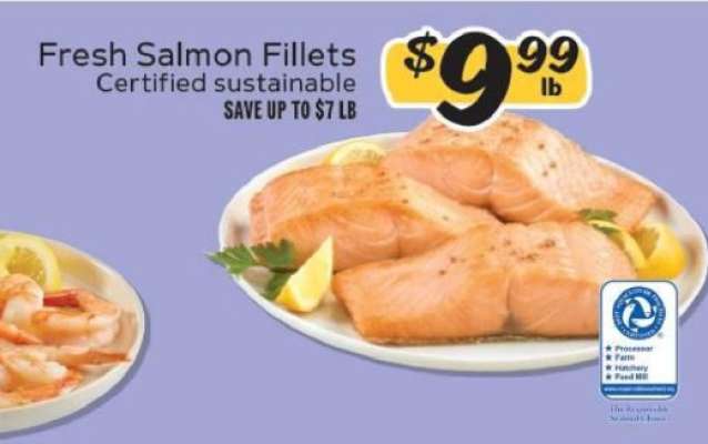 Fresh Salmon Fillets