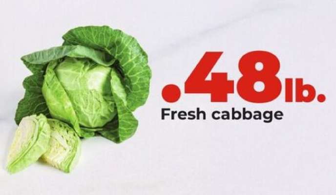 Fresh cabbage