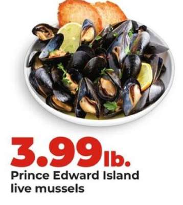 Prince Edward Island live mussels