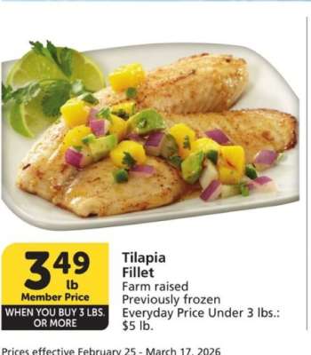 Tilapia Fillet