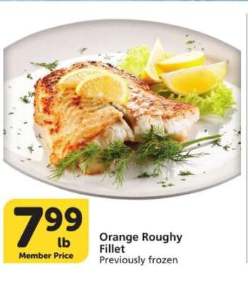 Orange Roughy Fillet