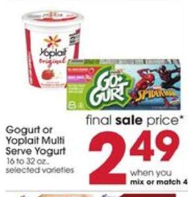 Gogurt or Yoplait Multi Serve Yogurt