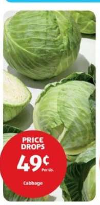 Cabbage