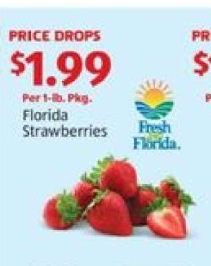 Florida Strawberries