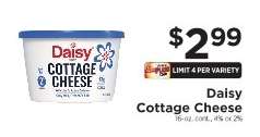Daisy Cottage Cheese