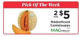 MAGnificent Cantaloupes