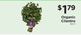 Organic Cilantro