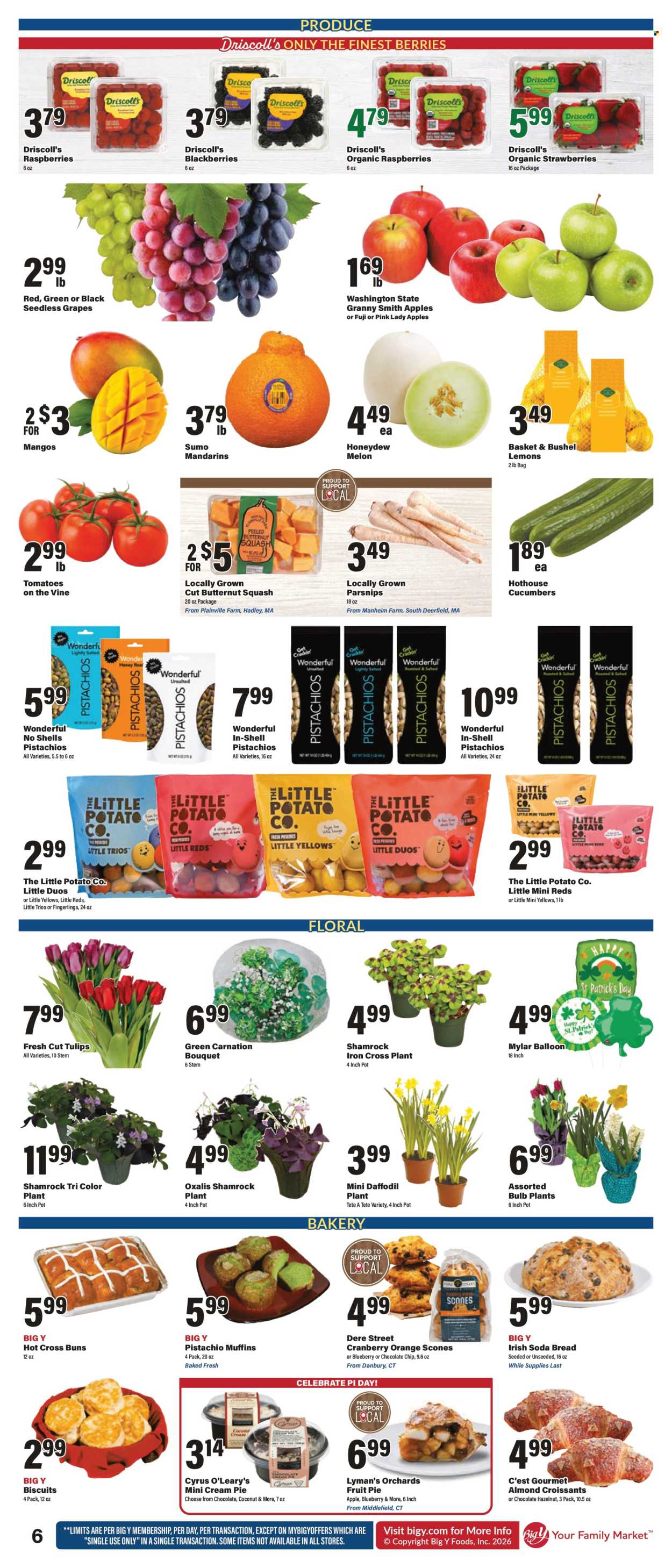 Big Y ad - 03/12/2026 - 03/18/2026. Page 9