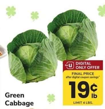 Green Cabbage
