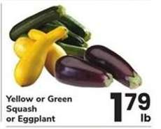 Yellow or Green Squash or Eggplant
