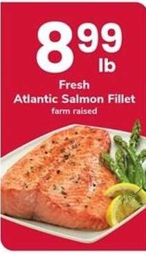 Fresh Atlantic Salmon Fillet