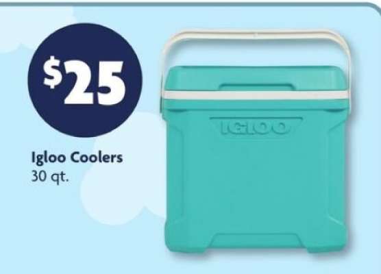 Igloo Coolers*