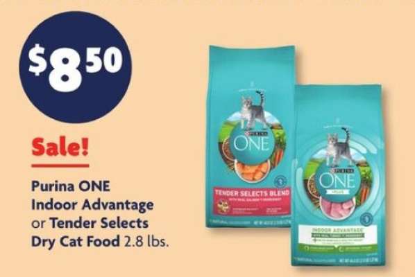 Purina ONE Indoor Advantage or Tender Selects Dry Cat Food