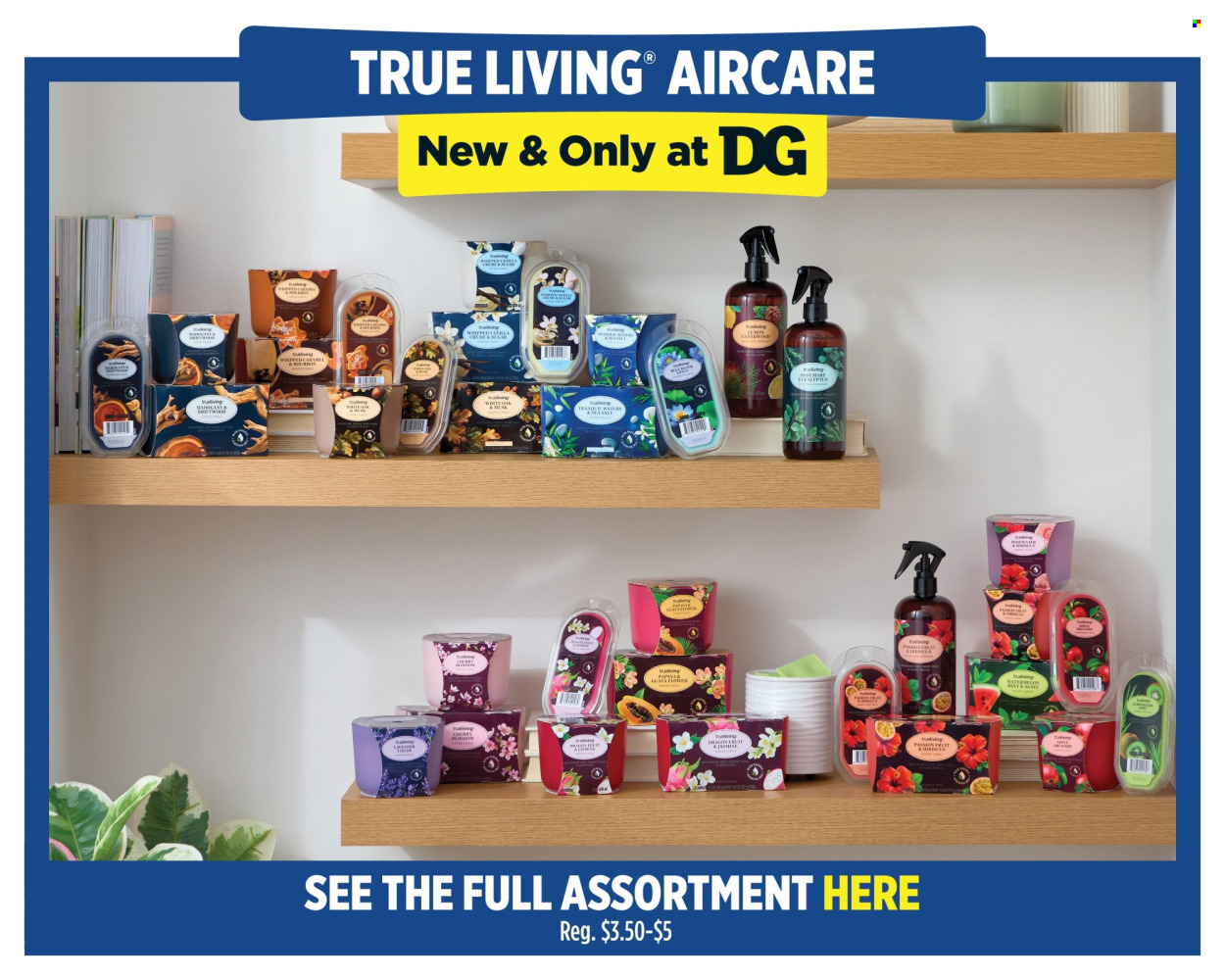 Dollar General ad - 03/15/2026 - 03/21/2026. Page 9