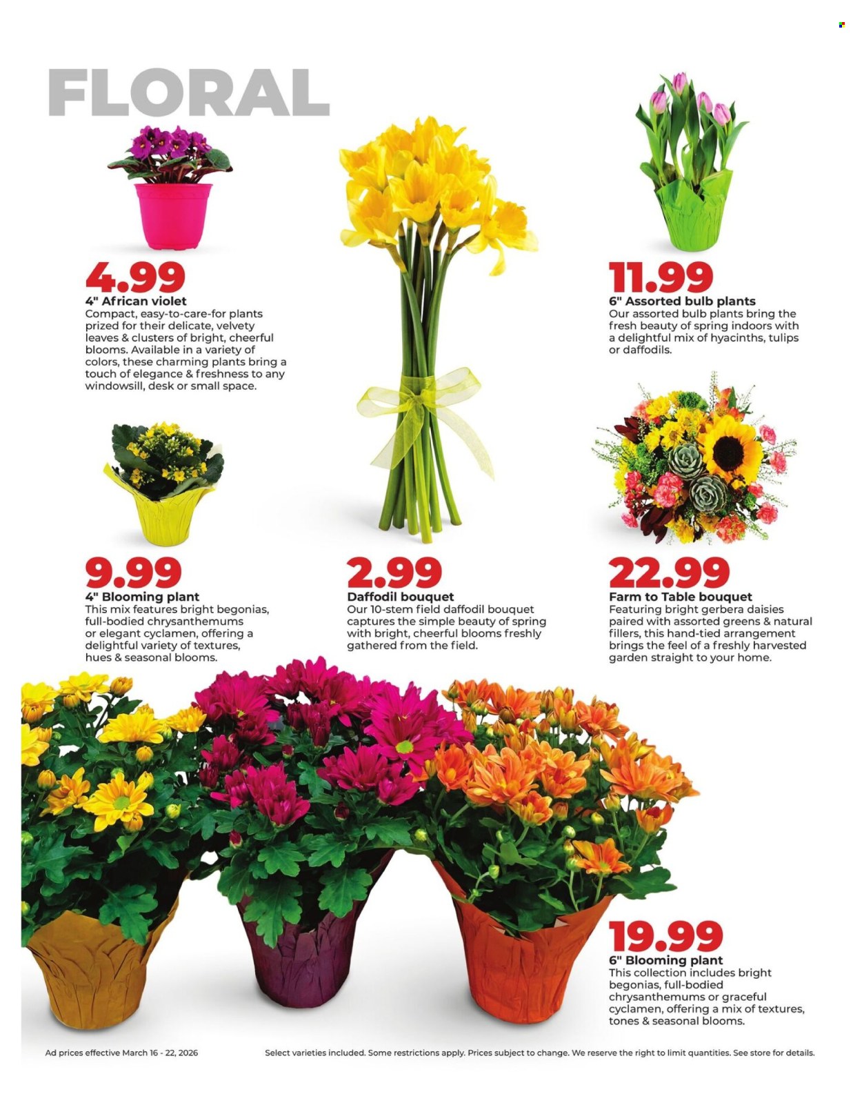 Hy-Vee ad - 03/16/2026 - 03/22/2026. Page 32