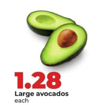 Large Avocados