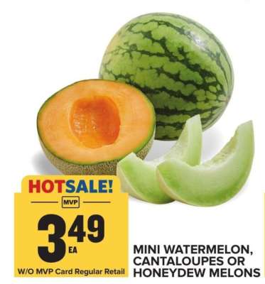 Mini Watermelon, Cantaloupes or Honeydew Melons